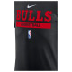 Nike Ανδρική κοντομάνικη μπλούζα Chicago Bulls